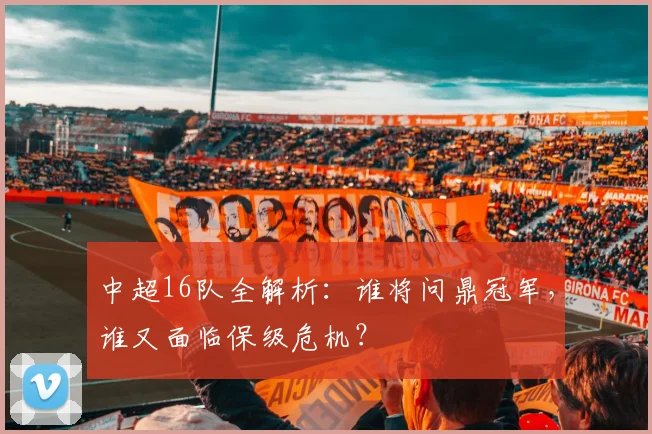 中超16队全解析：谁将问鼎冠军，谁又面临保级危机？