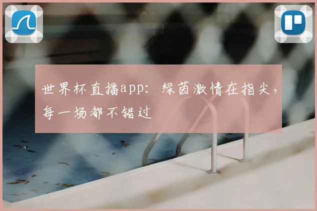 世界杯直播app：绿茵激情在指尖，每一场都不错过