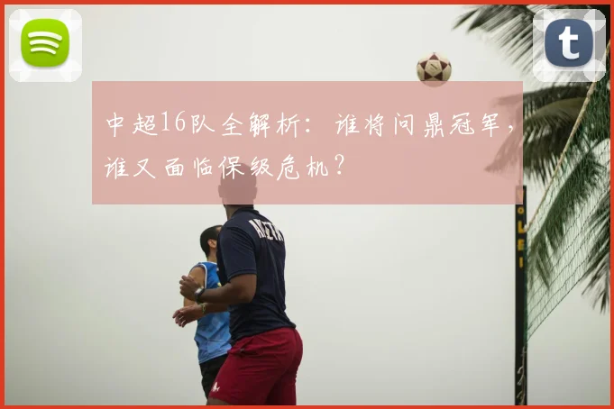 中超16队全解析：谁将问鼎冠军，谁又面临保级危机？