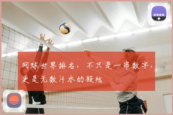 网球世界排名，不只是一串数字，更是无数汗水的凝结