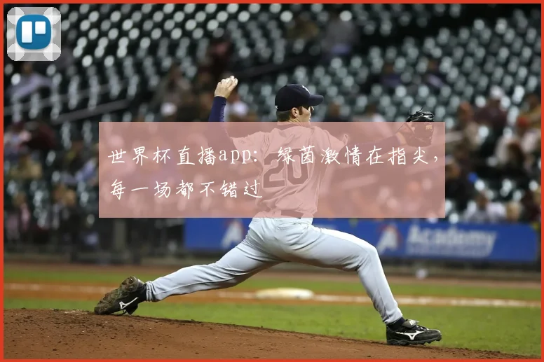 世界杯直播app:绿茵激情在指尖,每一场都不错过