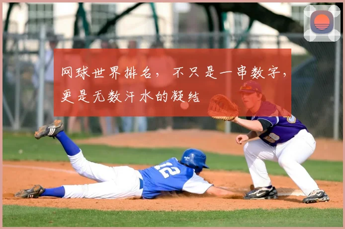 网球世界排名，不只是一串数字，更是无数汗水的凝结